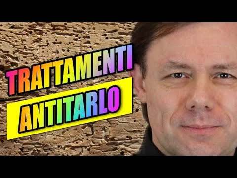 Antitarlo: i tarli stanno distruggendo il tuo mobile antico? Ecco come eliminarli.