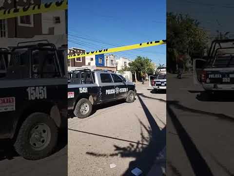 PERSONA ASESIN@DA EN LA COLONIA NUEVA PALMIRA