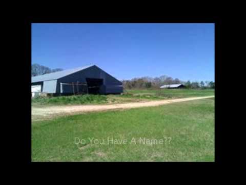 WZRT Vengeance Recon