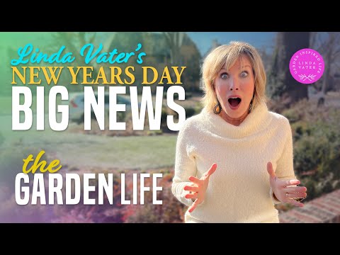 , title : 'New Years Day Big Announcement with Linda Vater'