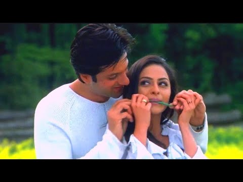 Jab Se Dekha Tumhe Hum To Khoye Khoye Rehte Hain | Kumar Sanu, Alka Yagnik | Hindi Song