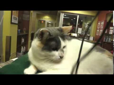 Beautiful Bobbie Jo!