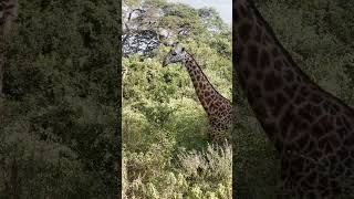 Nature at its finest