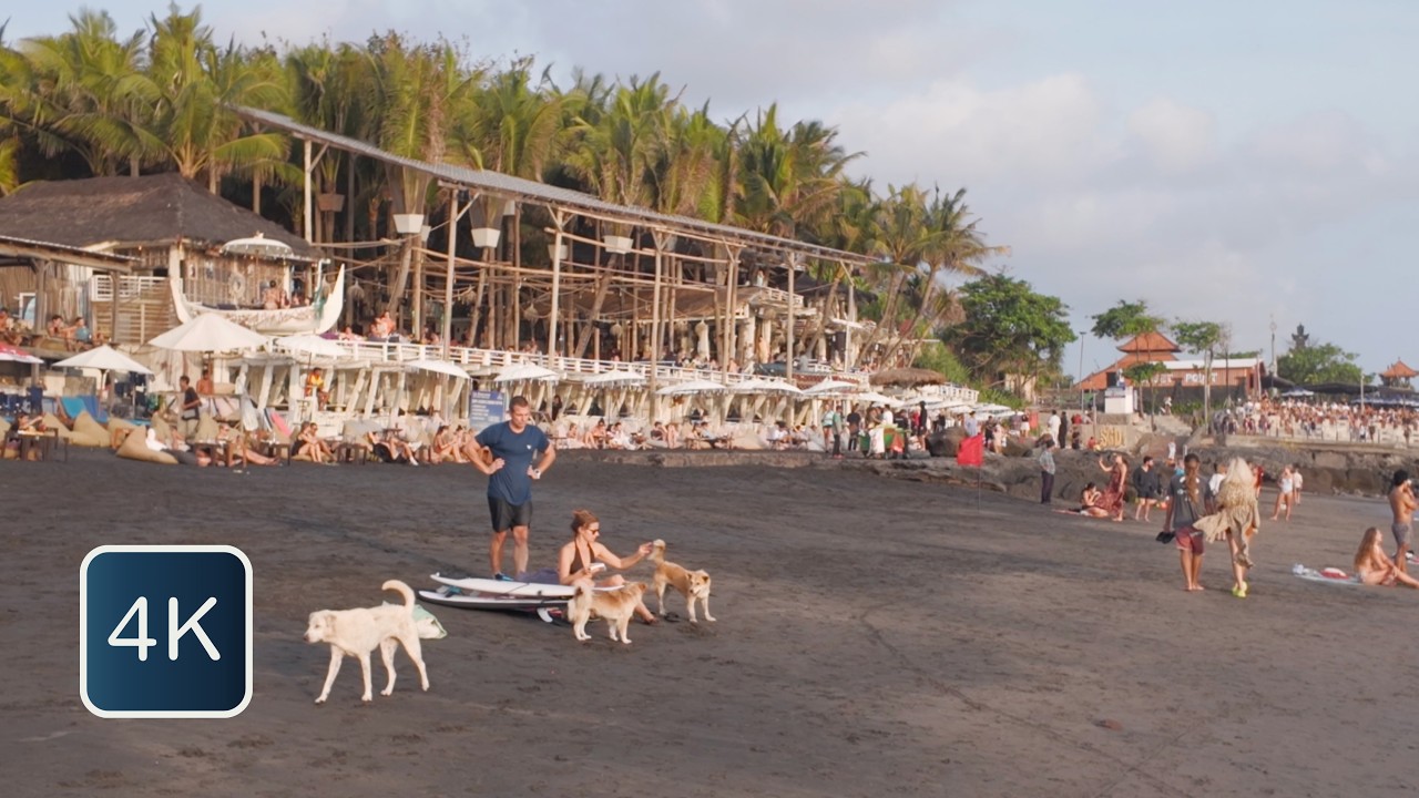 Immerse yourself into a virtual stroll across Pererenan Beach.