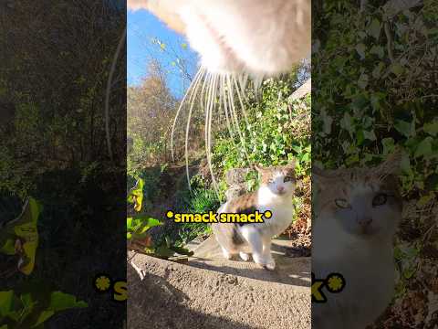 Ros Had a Stalker 😂