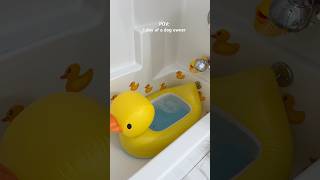 Download lagu Dog owner’s daily routine 🐶 #dog #poodle #doggielife #viral #shorts #asmrsounds mp3