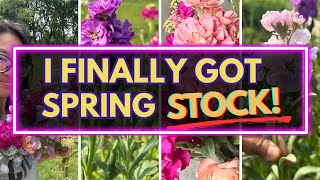 From 3 Years of Failure to Beautiful Spring Stock- Experimenting with Spacing & Spring Varieties!