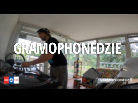 Gramophonedzie - Live From Belgrade (Cruise Music Docked Sessions #1)