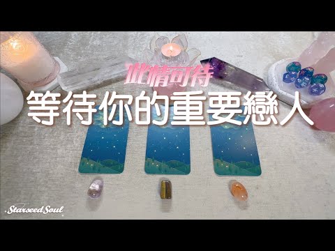 向日葵塔羅網