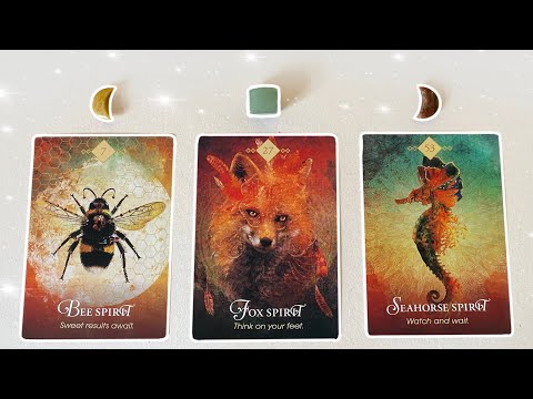 YES or NO, Fast answer! -Pick a Card- Tarot Reading✨