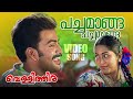 Pachamaanga Pachamaanga Video Song Vellithira Prithviraj Navya Nair Malayalam Movie Songs