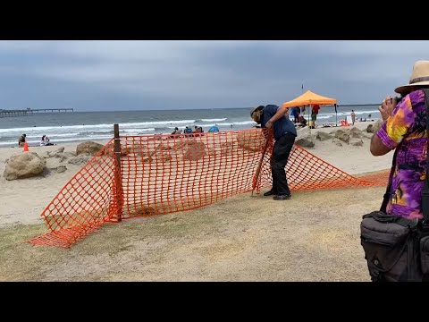 Ocean Beach man tears down barriers put up to shut down sidewalk vendors and gatherings