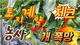 농지 임대시  꼭 확인 해야할 4가지