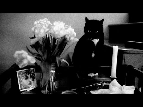 Pushing Film: a lesson starring Kodak Double-X