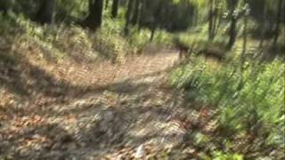 preview picture of video 'part 1 Walking Trail at Vista at Bill's Mountain'