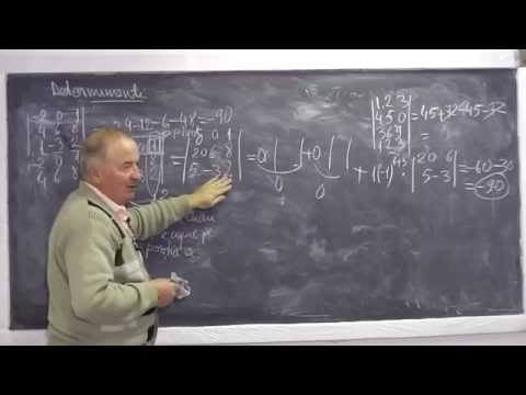 2/2 Lectia 710 - Determinanti Functii trigonometrice cerc trigonometric Puteri Logaritmi - Clasa 11