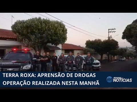 Dise faz grande apreensão de drogas em Terra Roxa (18/06/2025)