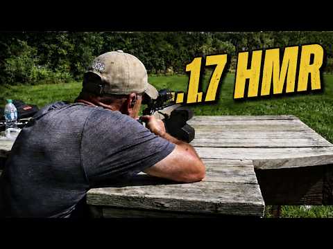 Testing the Ruger American Rimfire .17 HMR – You Need to See This!
