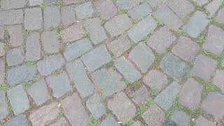 # Sane train in a local town near to where we stayed #