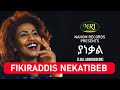 Fikiraddis Nekatibeb Yanekal ፍቅርአዲስ ነቃጥበብ ያነቃል Ethiopian Music