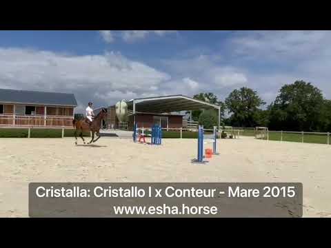Cristalla: CRISTALLO I x CONTEUR
