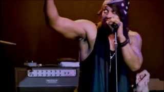 D&#39;Angelo - Chicken grease