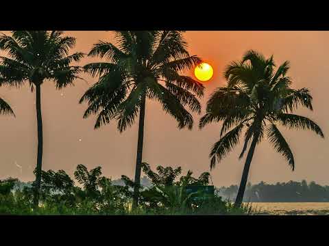 Think City & Slow Nomaden - Malabar