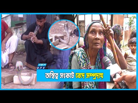 গানে গানে সুখের কথা বললেও সুখে নেই বেদে সম্প্রদায়