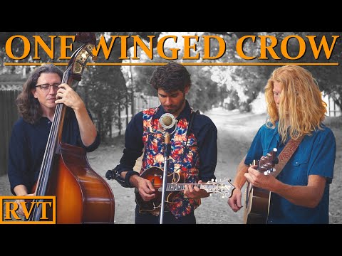 One Winged Crow - The Rose Valley Thorns