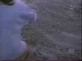 Sesame Street J On The Beach