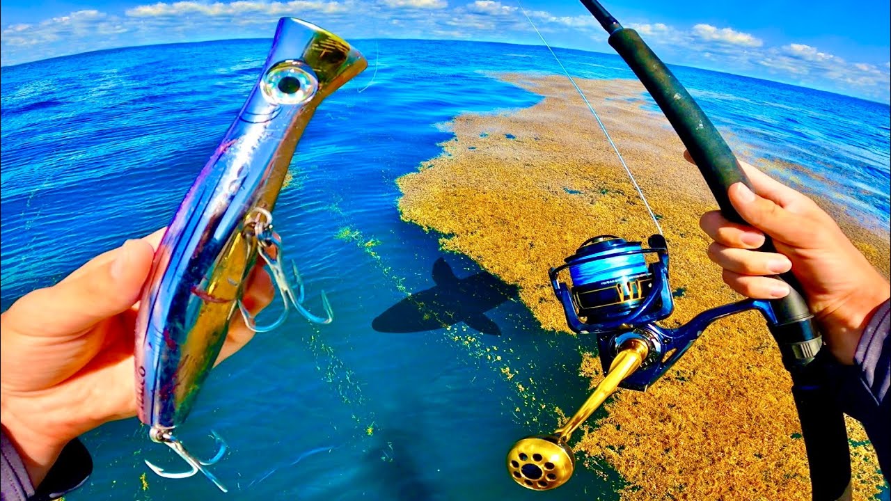 A giant lure for fishing the exotic giant of the open sea in Guadeloupe !!