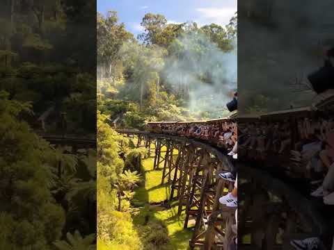 The Puffing Billy: “O trem a vapor favorito da Austrália” 🚂📍Melbourne, Austrália 🇦🇺📸 1amny #steamtrains