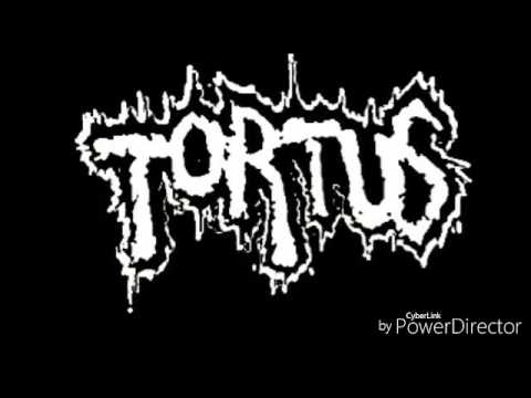 Tortus/Pay Neuter