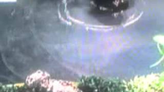 Postman Pat Gone Wrong