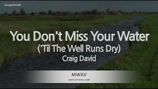 Craig David-You Don&#39;t Miss Your Water (&#39;Til The Well Runs Dry) (Karaoke Version)