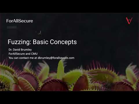 CSE545 Week 12: Fuzzing Concepts