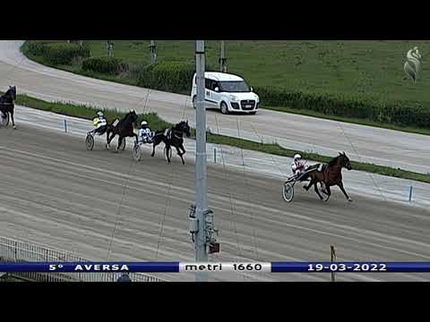 Aversa trotto 19 Marzo 2022 - 5° Corsa