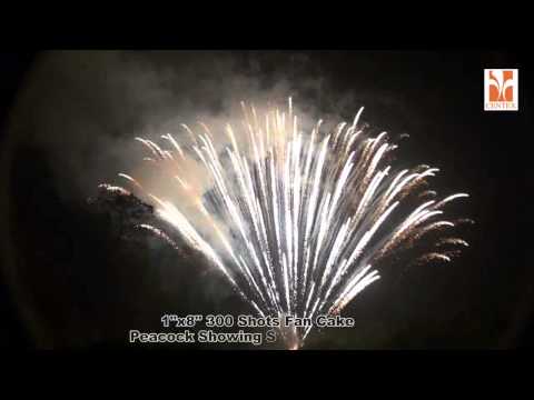 1x8 300 Shots Fan Cake Peacock Showing Silver Wave Tail