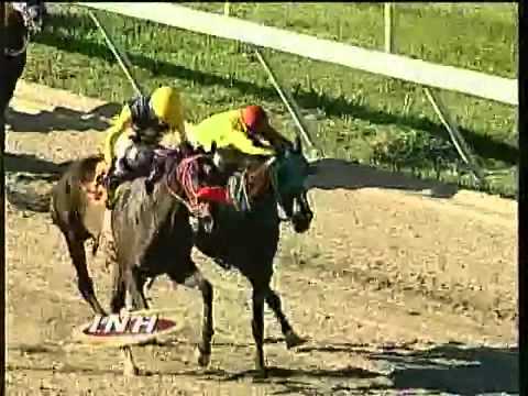 Resumen Sábado, 21 de Diciembre de 2013 - La Rinconada