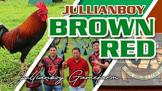 BROWN REDS of Engr. Jun Homecillo Jr. - Jullianboy Gamefarm