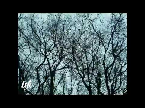 DEMİRCAN DEMİR NERDE KAYBOLAN GÖNLÜMÜN YARISI