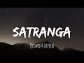 Satranga (Slowed + Reverb) | Arijit Singh | Animal | Lyrics Cloud ☁️