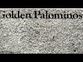 The Golden Palominos  -  Boy (Go)