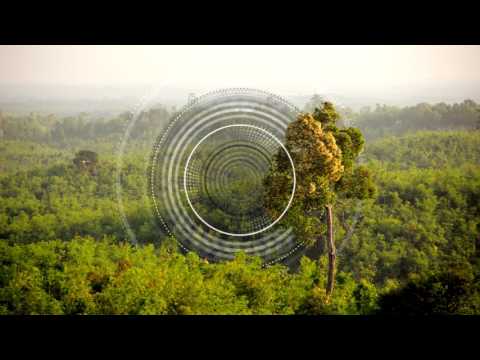 Himbrecht - Anything Else (Sam Goku & Quatri 'God Of Nature' Remix) [Nie Wieder Schlafen]