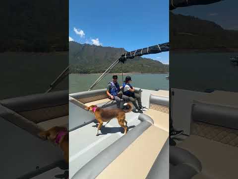 Experiencias Toyota CVI 2026 - Valle de Tenza en Boyacá