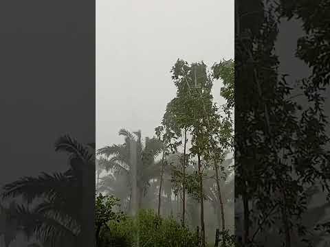 chuva no Maranhão! Trizidela do vale