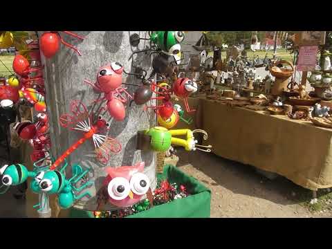 Von Baabe nach Thiessow - per Schiff zum Rügenmarkt