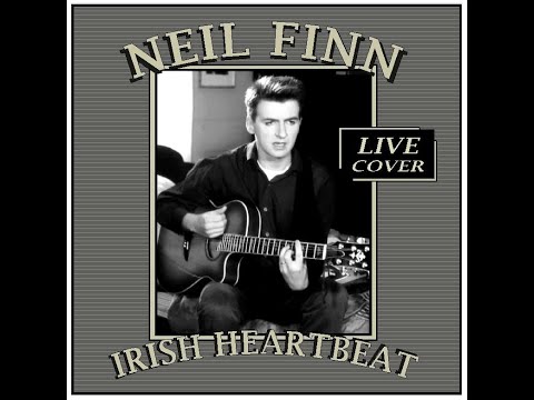 Neil Finn - Irish Heartbeat (1989) live