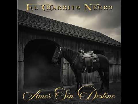 Devuélveme los Besos