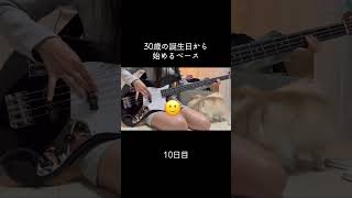 右手のポジション変えて癖のつけ直し！左手も若干使い方変えてみて練習してる、変な癖つきたくないから！ #100日後に上手くなるベーシスト #30歳から始めるベース #30歳